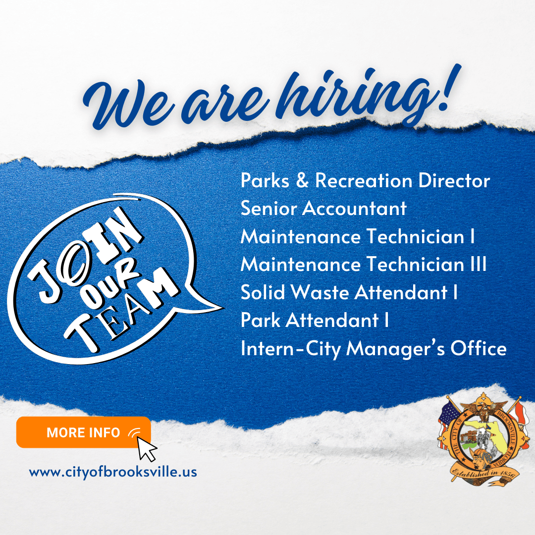 We Are Hiring! (Instagram Post) (3)