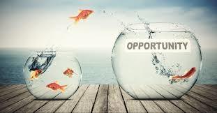 Gold fish Jumping from one bowl to another labeled opportunity